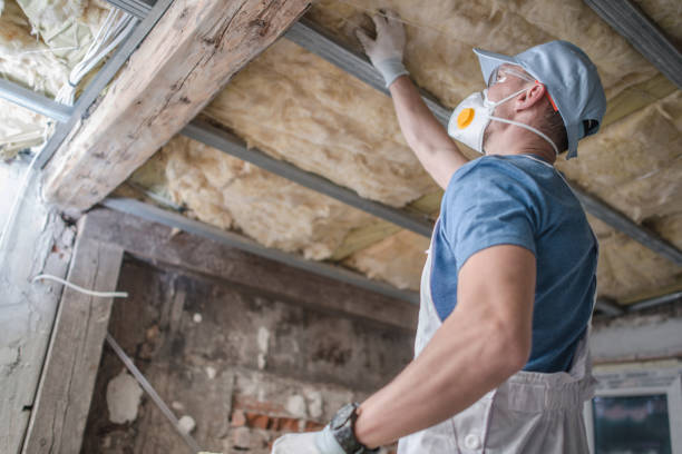Best Insulation for Specific Applications in Pelham, AL